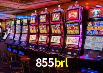 Descubra a Essência do 855brl: Nossa História e Compromissos