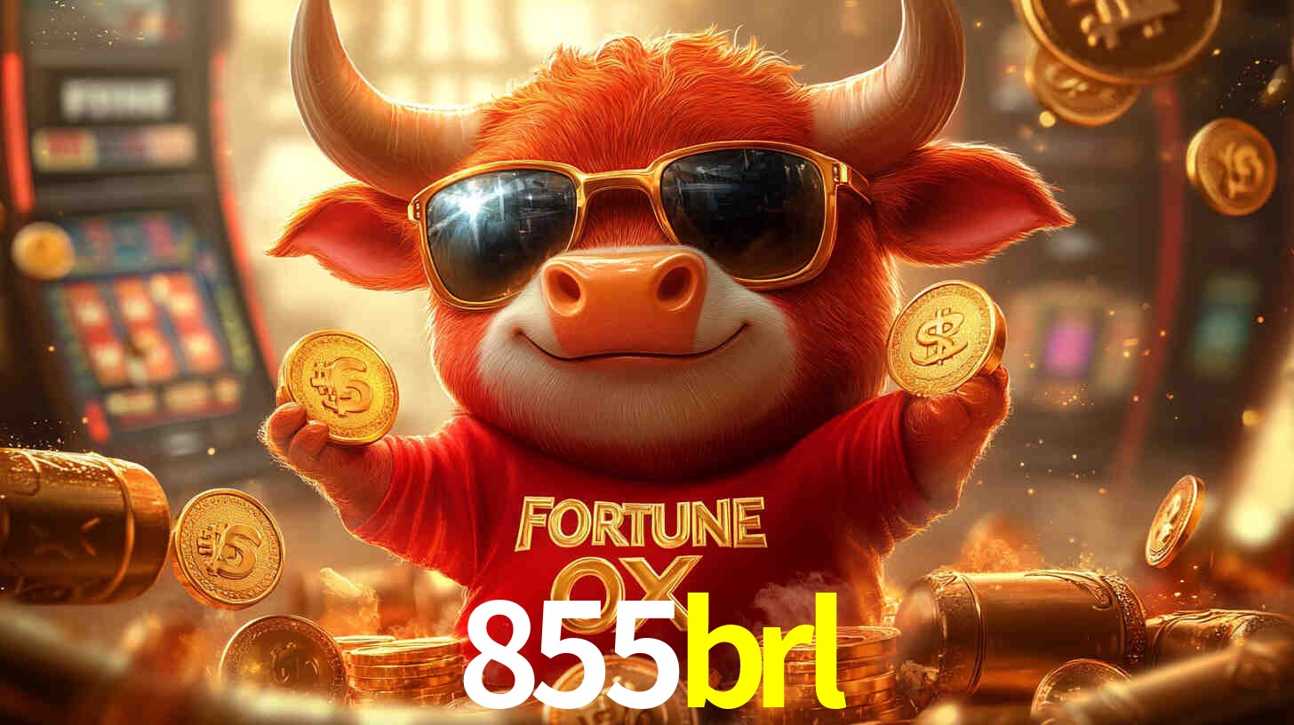 855brl.com
